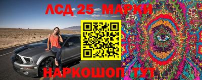 spice Краснокаменск