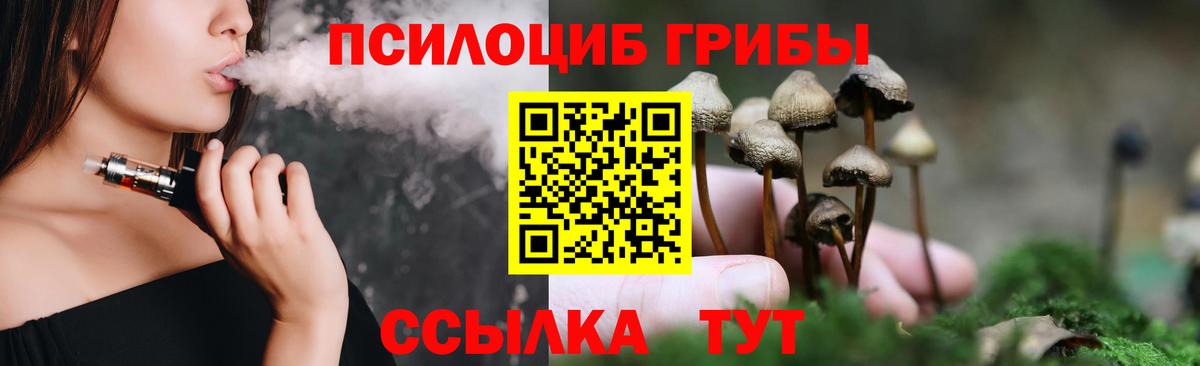 как найти закладки  Вход с VPN  Камышин  Галлюциногенные грибы MAGIC MUSHROOMS 
